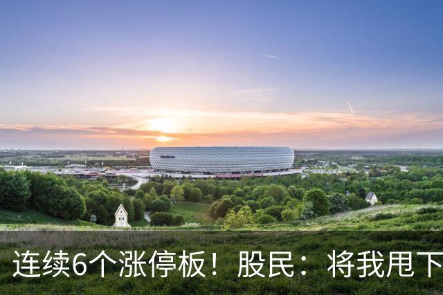 连续6个涨停板！股民：将我甩下车了！